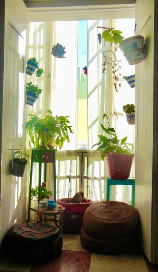 קדיז Habitaciones La Pepa מראה חיצוני תמונה
