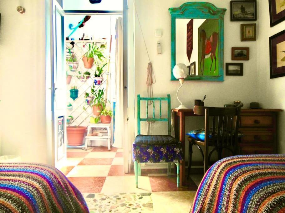 קדיז Habitaciones La Pepa מראה חיצוני תמונה